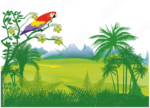 Papagei im Dschungel– Illustration