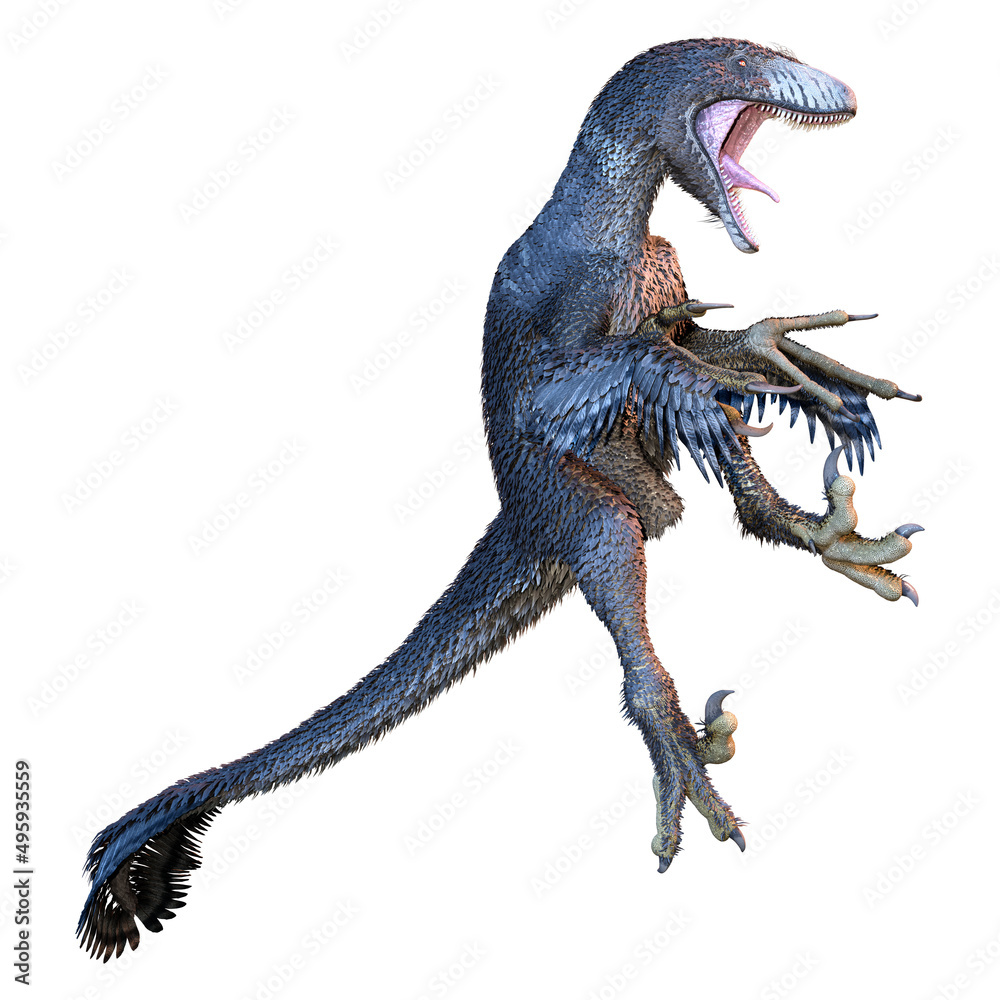 3D Rendering Dinosur Dakotaraptor on White 3D Rendering Dinosur Dakotaraptor on White