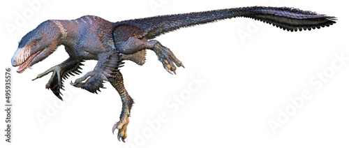 3D Rendering Dinosur Dakotaraptor on White