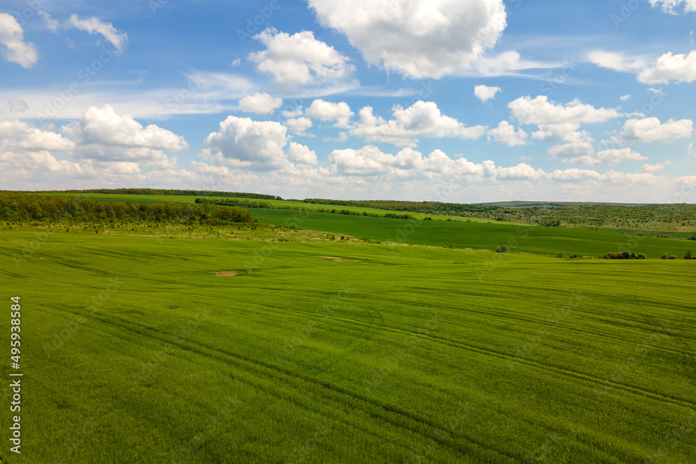 Aerial landscape view of green cultivated agricultural fields with growing crops on bright summer day Aerial landscape view of green cultivated agricultural fields with growing crops on bright summer day