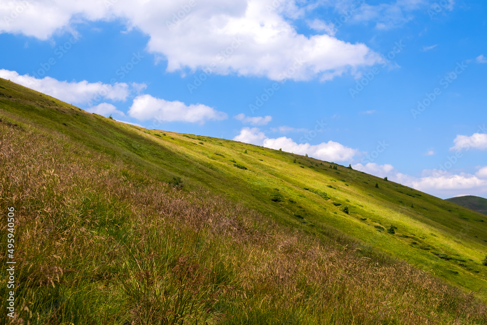 Bright landscape with grassy green meadow and distant mountain hills in summer