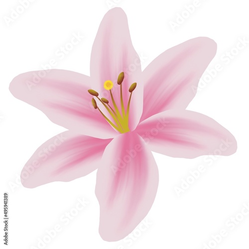 Illustration of decorative lilies on a white background.