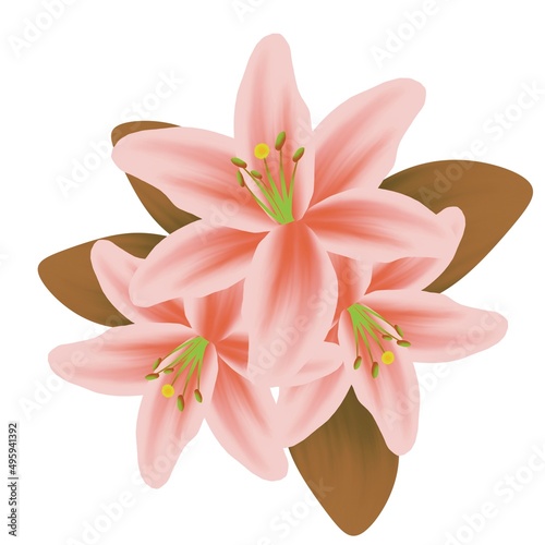 Illustration of decorative lilies on a white background.