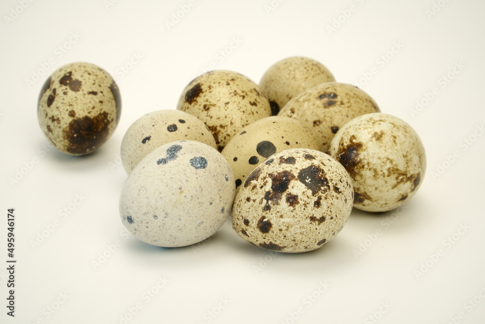 The eggs of quails show on a pastel hue white background. The speckled eggshells texture in a close-up scene. A common quail egg beautiful sample in a group. A shallow depth of field view photo.