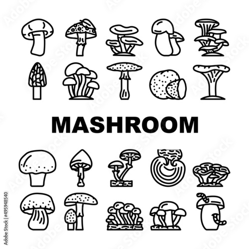 Mushroom Vegetable And Fungus Icons Set Vector. Shitake And Porcini, Morel And Toadstool, Fungi And Amanita Mushroom. Delicious Natural And Vitamin Champignon And Truffle Black Contour Illustrations