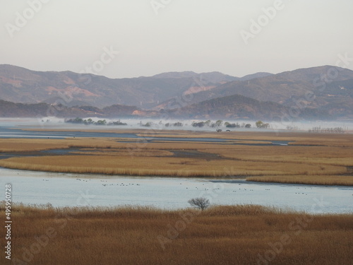 suncheon bay