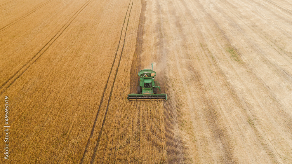 Aerial view combine harvester harvesting on the field