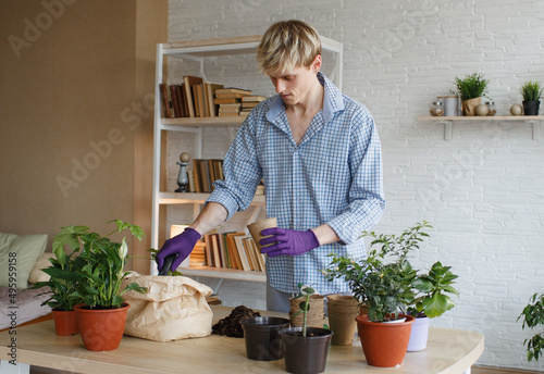 An attractive young man caring for domestic plants, transplants flowers, pours earth into flower pots. © Tatsiana