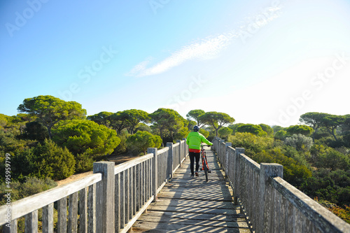 Ciclista cruzando el puente sobre el Río San Pedro. Marisma de los Toruños y Pinar de la Algaida. Parque Natural Bahía de Cádiz, Andalucía, España.