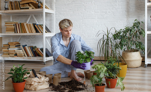 An attractive young man caring for domestic plants, transplants flowers, pours earth into flower pots.