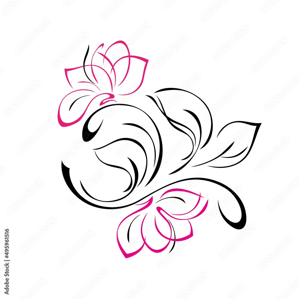 ornament 2248. unique decorative element with stylized flowers, leaves and curls. graphic decor