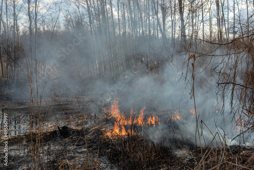 Field on fire, burning dry grass near pond, sunbeams through smoke