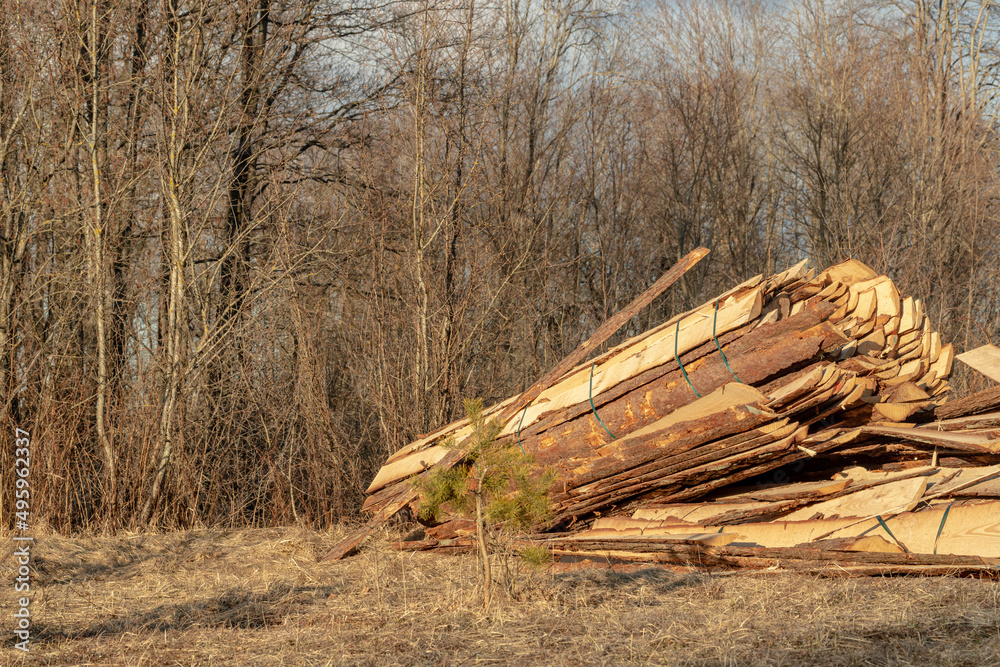 wooden boards piled on a stacks. Side boards of timber logs wooden boards piled on a stacks. Side boards of timber logs