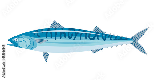 Sea fish mackerel. Underwater marine life. Cooking delicious food. Flat vector illustration isolated on a white background
