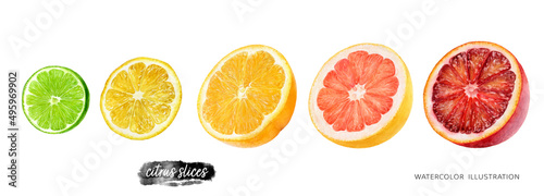 Citrus fruits lime, lemon, orange, grapefruit, blood orange watercolor illustration isolated on white background.