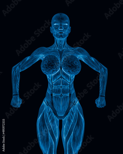female bodybuilding in muscle maps is doing a bodybuilder pose four in white background close up view