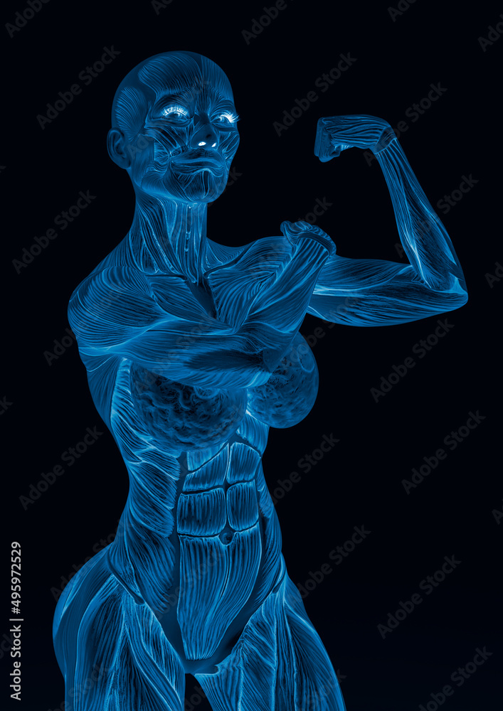 female bodybuilding in muscle maps is doing a can do it pose in white background female bodybuilding in muscle maps is doing a can do it pose in white background