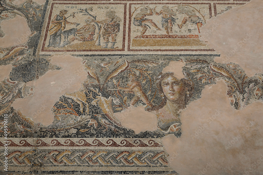Mosaics from Tzippori