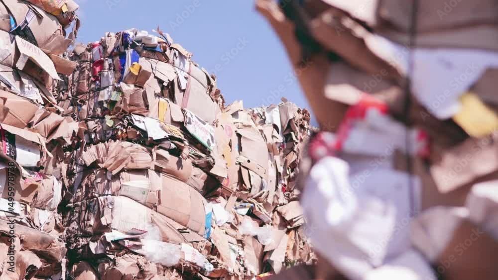 paper waste landfill. pressed waste paper and cardboard. paper recycling. landfill. ecological factory for the processing of secondary raw materials from paper and cardboard
