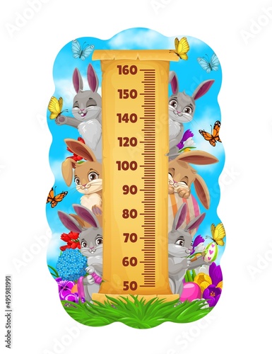 Kids height chart of Easter bunnies and egg hunting. Growth measure meter on vector paper scroll, children stadiometer with cartoon rabbits, eggs, flowers and butterflies, childish wall sticker design