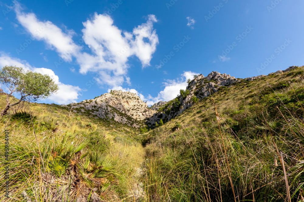 Hiking in mountrains of Alcudia, Mallorca, or Majorca, Balearic Islands, Spain