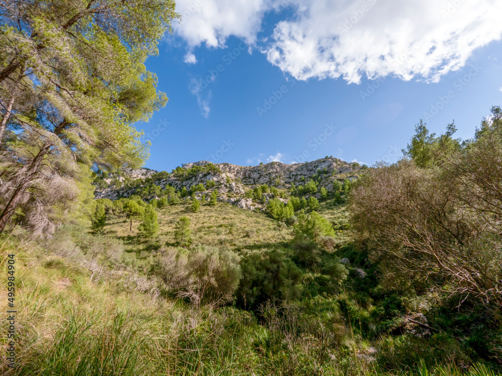 Hiking in mountrains of Alcudia, Mallorca, or Majorca, Balearic Islands, Spain
