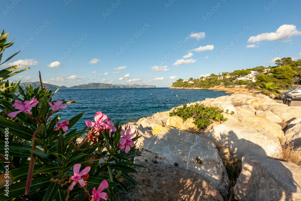 Beach with white sand and turquoise water of the Mediterranean sea in Alcudia, Mallorca, or Majorca, Balearic Islands, Spain
