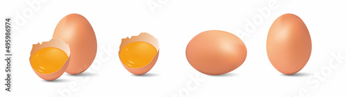 Chicken eggs, half broken egg and yolk isolated on white background. Vector illustration.