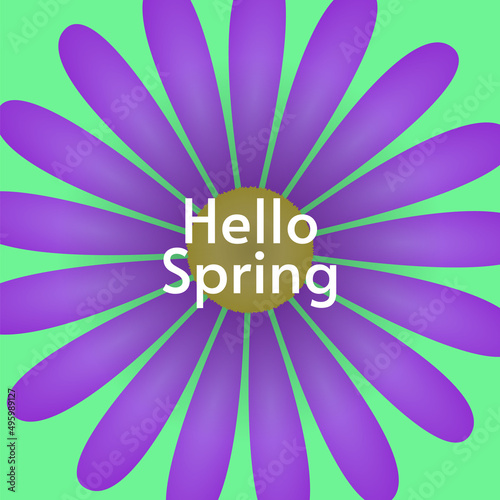 Hello Spring banner, greeting card. Bright flat design with violet beautiful flower on green background