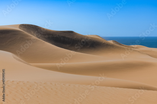 Namibia  the Namib desert  landscape of yellow dunes falling into the sea  the wind blowing on the sand 