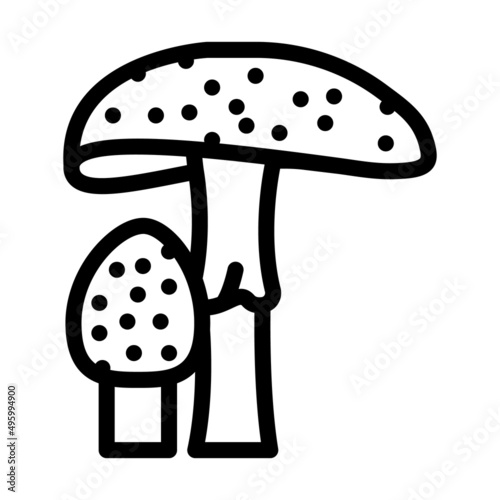 amanita mushroom line icon vector. amanita mushroom sign. isolated contour symbol black illustration