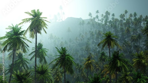 Jungle  rainforest during the plank  palm trees in the morning in the fog  jungle in the haze  3D rendering