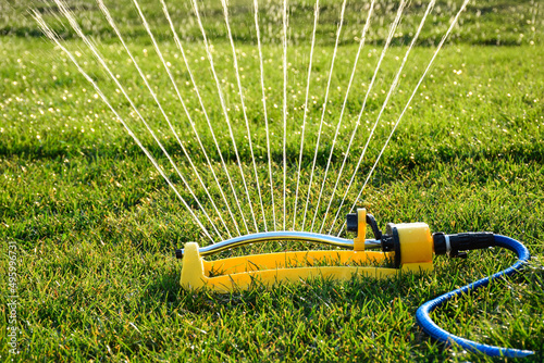 Garden irrigation sprinkler watering green grass lawn