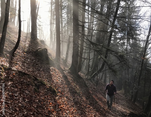 Wanderer (weiblich) im lichten Buchenwald mit Sonnenstrahlen im Gegenlicht photo