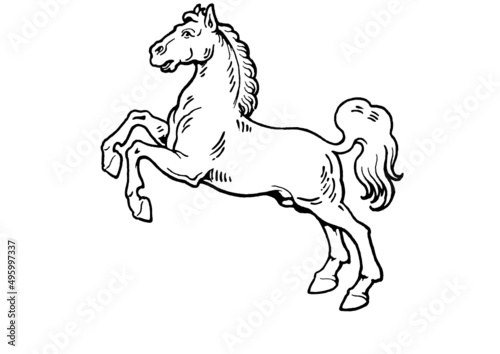 arched horse