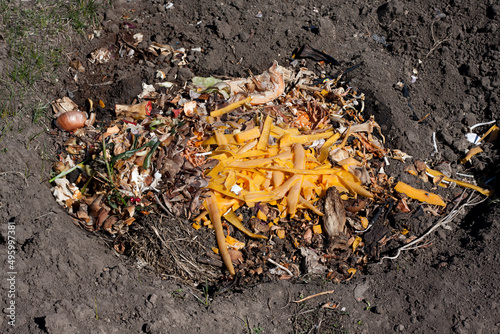 Food waste in compost pit on private garden. Rotting organic waste for compost. Outdoor. Top view photo