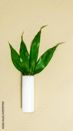 White tube with cosmetics cream on a beige background. Green leaves sprout from the tube.