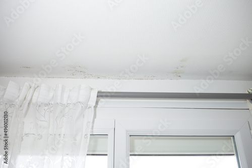 gray mold on the ceiling and walls, dampness in the house