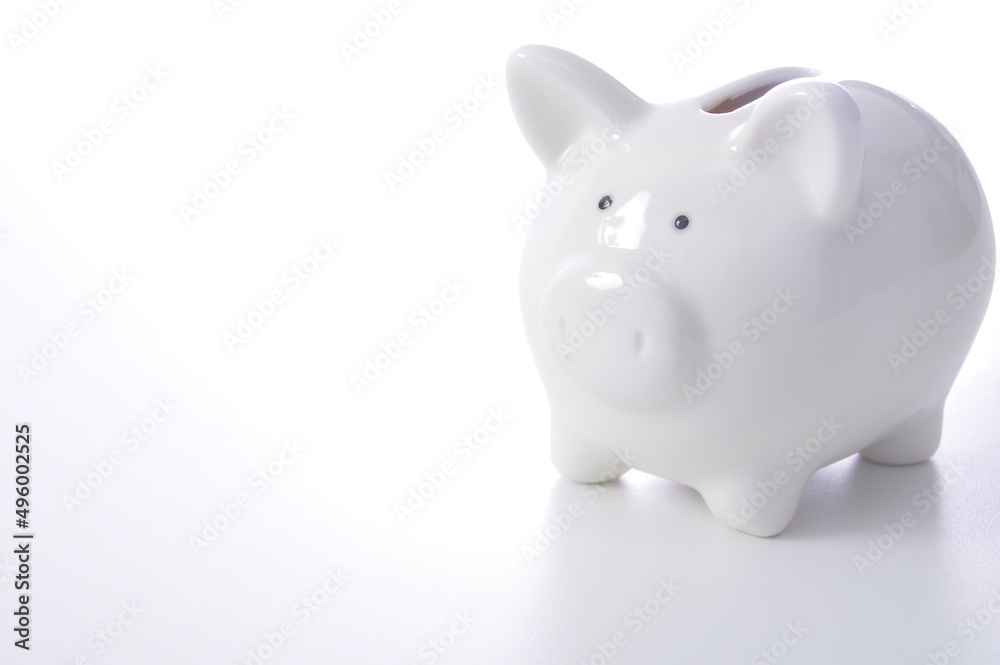 豚の貯金箱 豚の貯金箱
