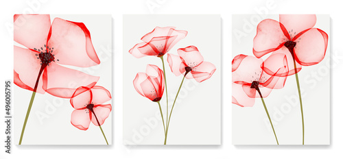 Floral art background with red and pink flowers. Set of watercolor botanical posters with bouquet for invitation, print, interior design