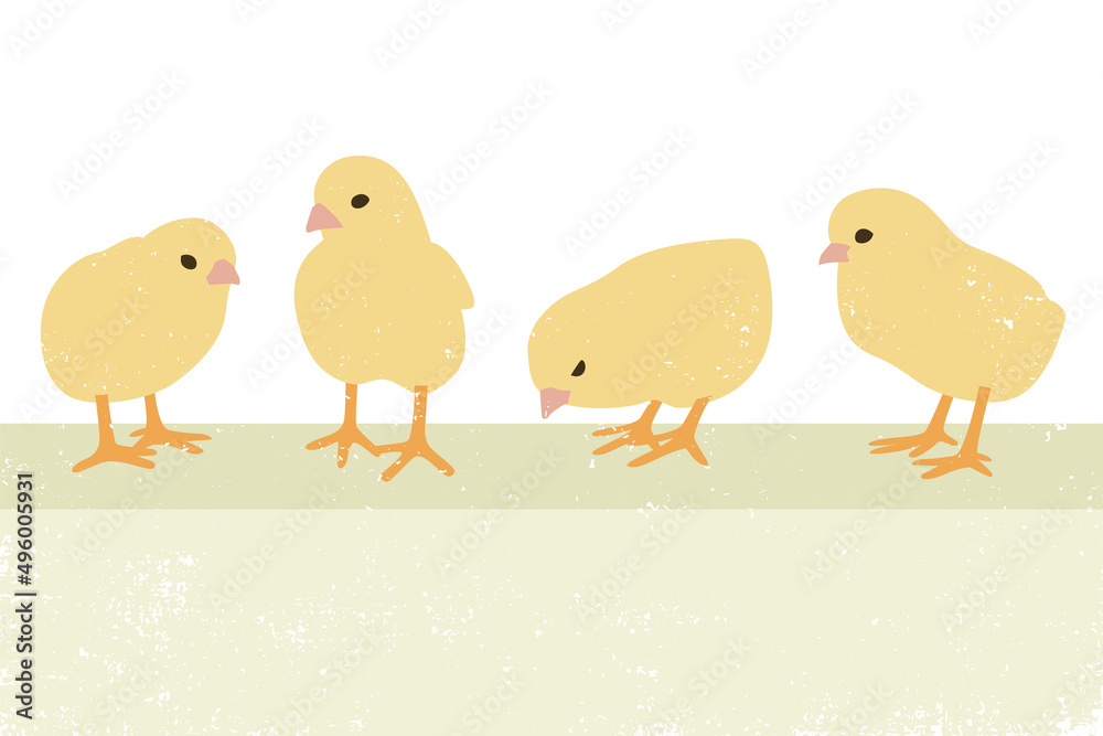 A group of baby chicks with a grunge effect
