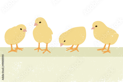 A group of baby chicks with a grunge effect
