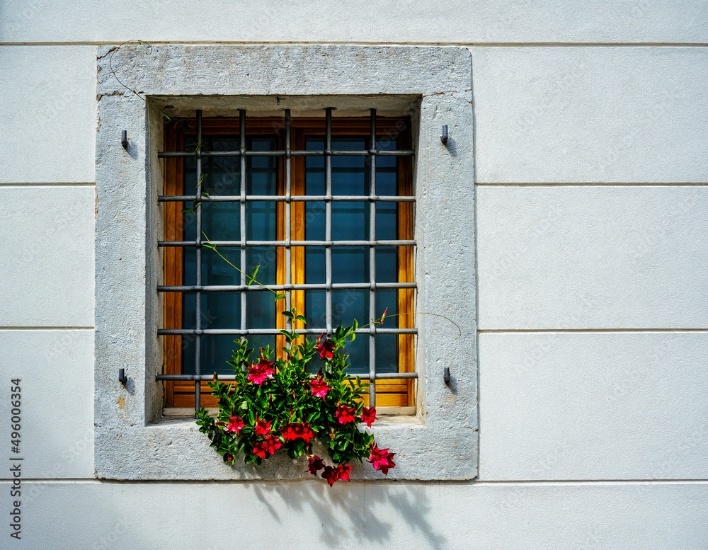 A window with steel bars on a grey wall and a planter