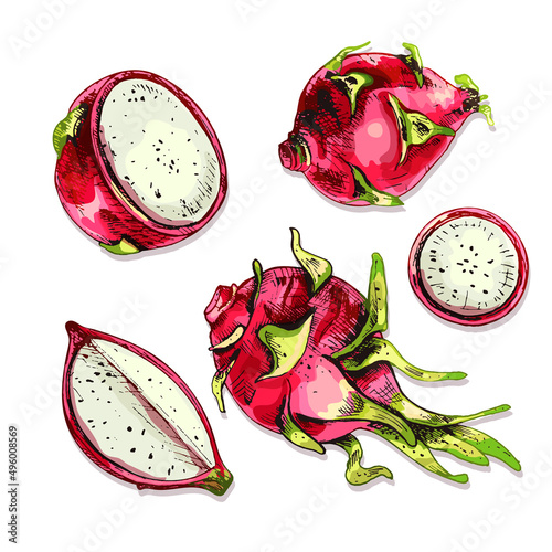 634_fruit dragon dragon fruit, set of vector colorful illustrations, ripe fruit, pink, green, white, whole and pieces,