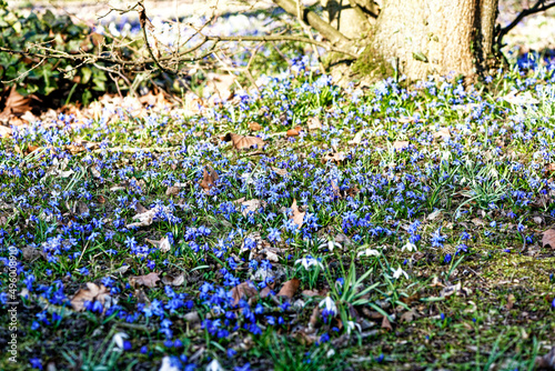 Spaziergang in lindener Berg.Hannover. photo