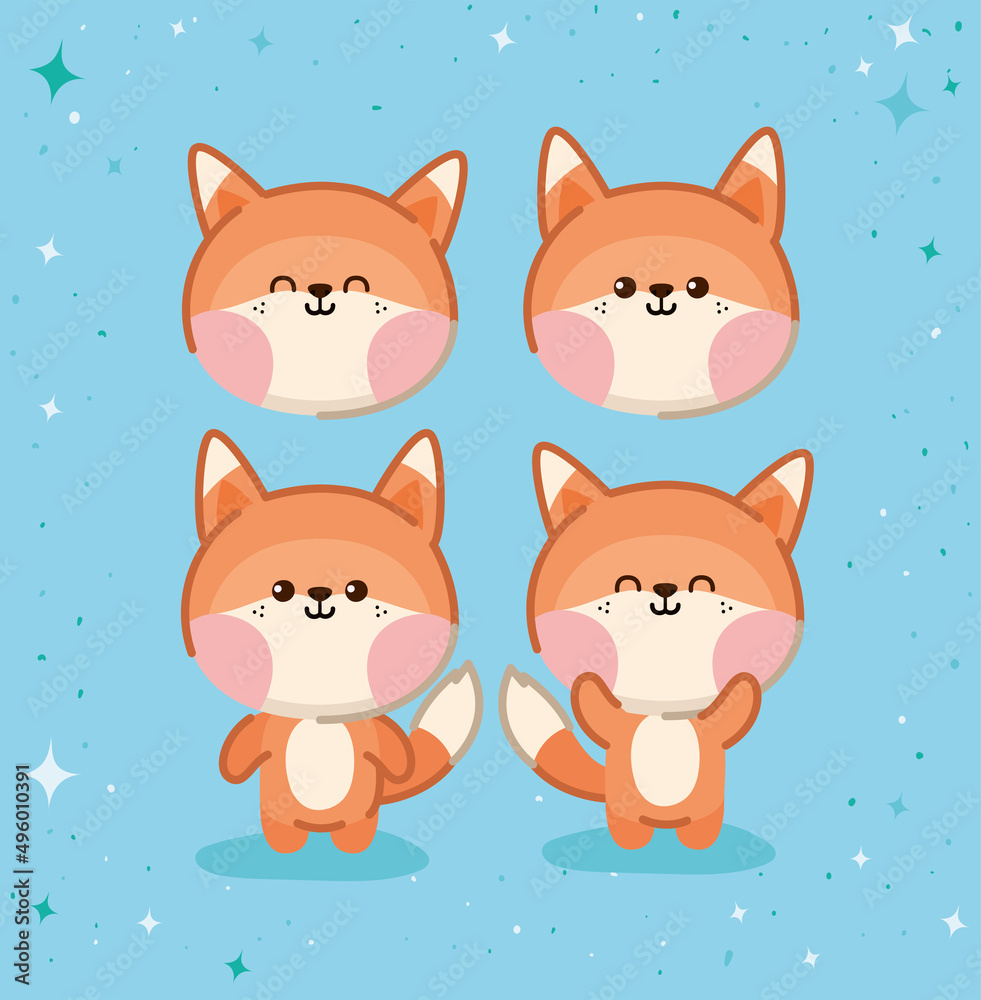 Fototapeta premium four foxes group