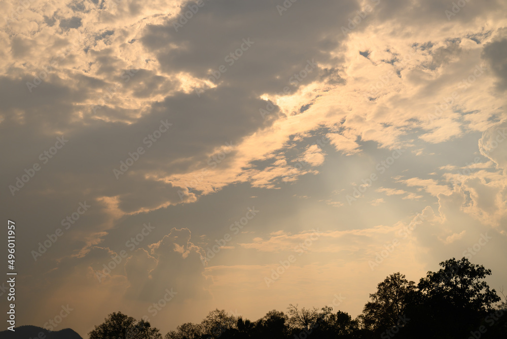 Beautiful sky with cloud and sunlight above trees before sunset, Natural background