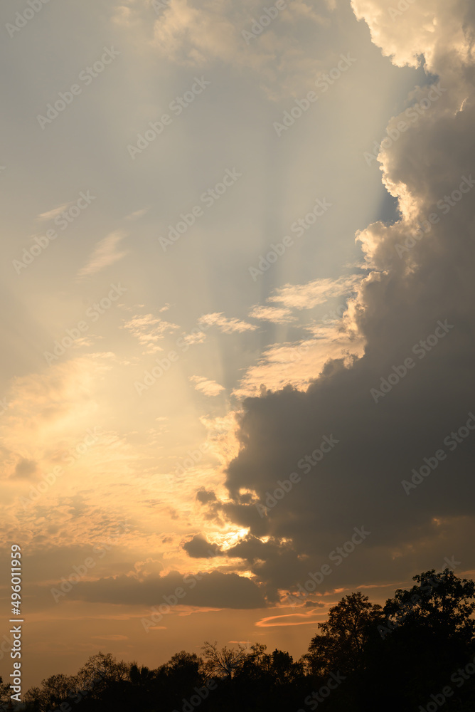 Vanilla sky with cloud and sunlight above trees before sunset, Natural background