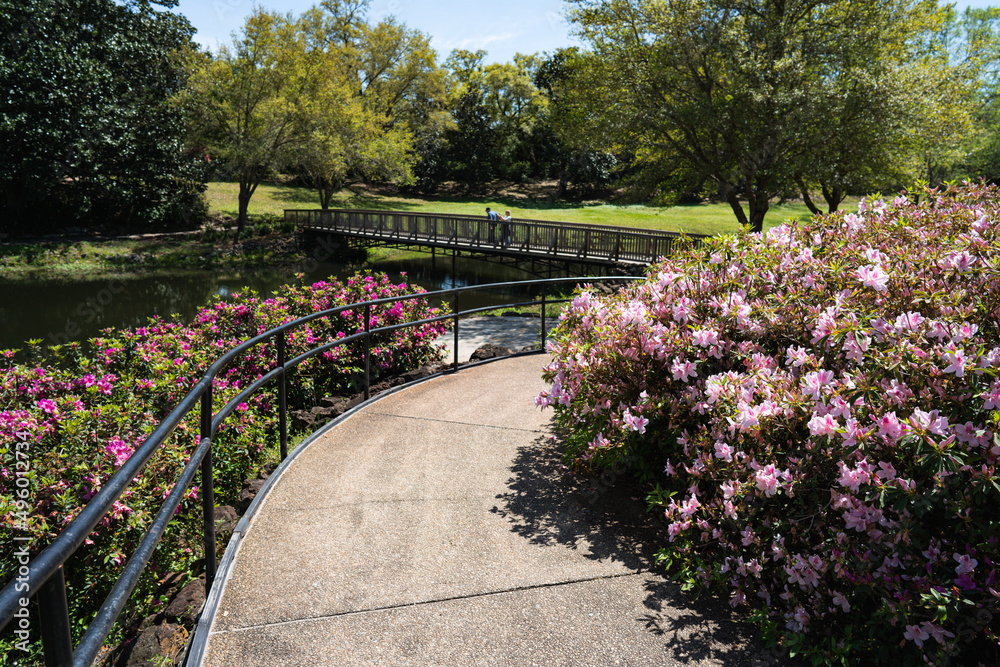 Obraz premium A Garden View during Spring