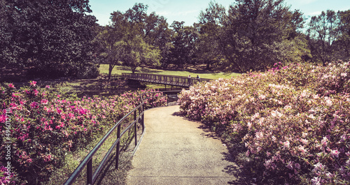 A Garden View during Spring photo